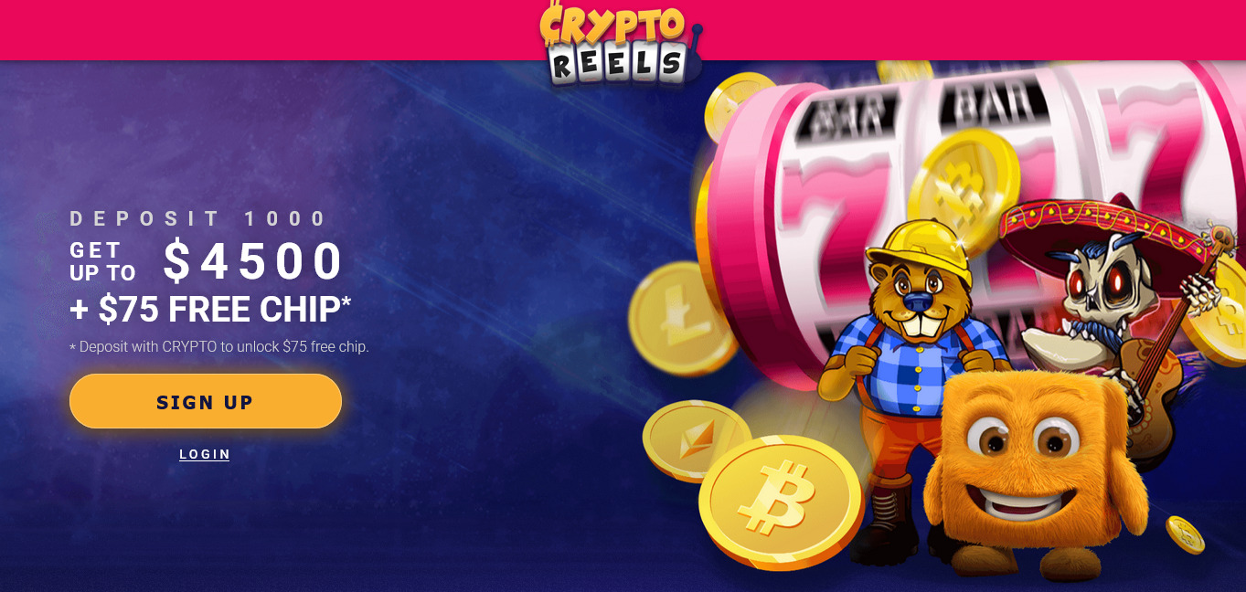 cryptoreels infos bonus and special free spins